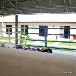 301 Gym facilities -  301 Muay thai & MMA - sam roi yod - Thailand (5)