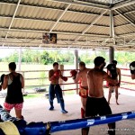 Muay thai training - 301 muay thai & MMA Gym - Thailand (14)