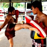 Muay thai training - 301 muay thai & MMA Gym - Thailand (16)